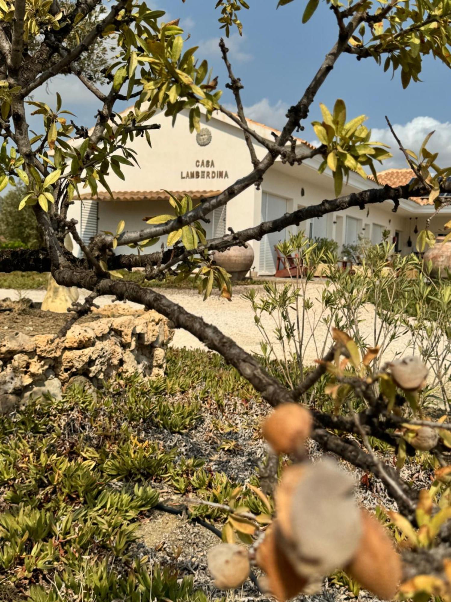 مبيت وإفطار Fuensanta  Casa Lamberdina المظهر الخارجي الصورة